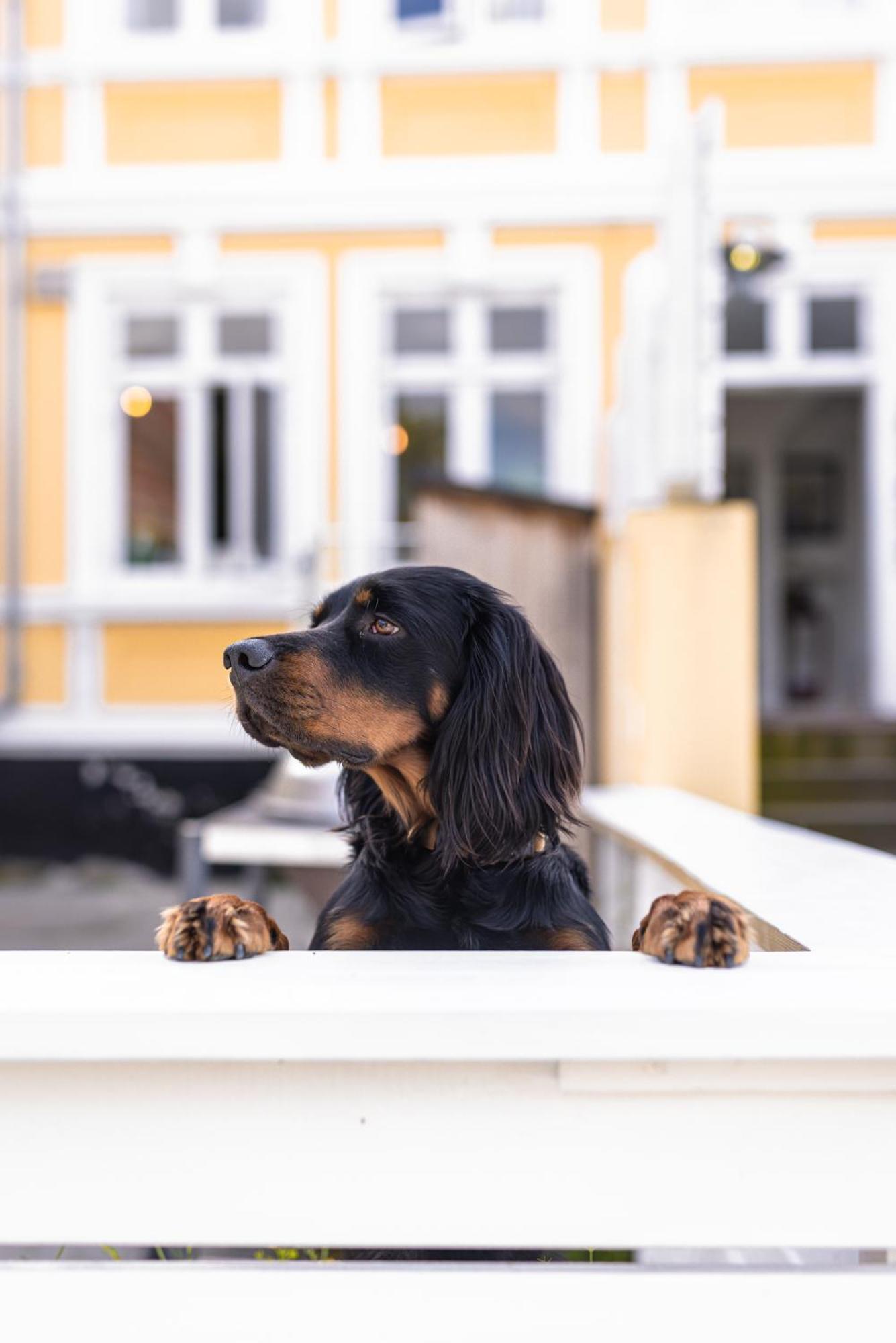 Arnfeldt Hotel Ærøskøbing Kültér fotó